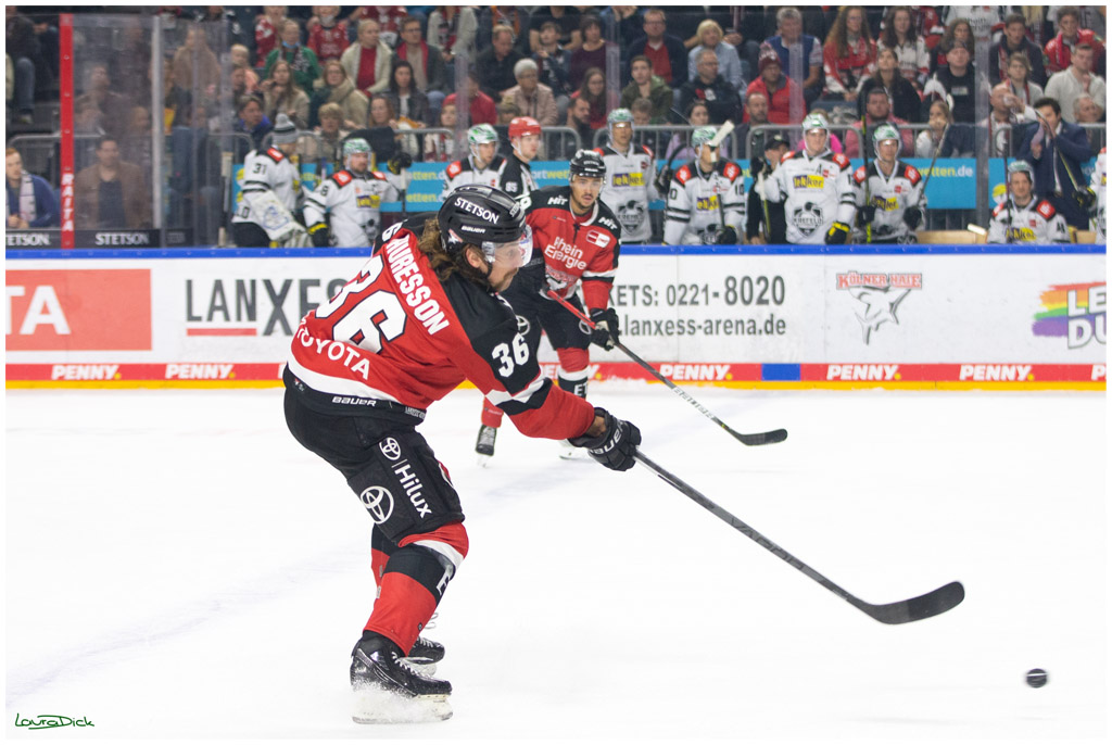 PENNY DEL;  Koelner Haie - Krefeld Pinguins; Koeln, 31.10.2021